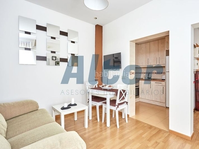 Alquiler piso en alquiler , con 48 m2, 1 habitaciones y 1 baños, amueblado y calefacción eléctrica. en Madrid