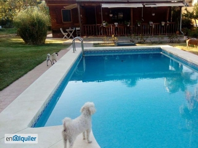 Casa o chalet de alquiler en Camino Llano del Acebuchal, Alqueria - Torrealqueria