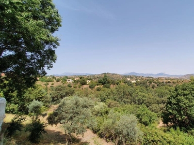 Finca/Casa Rural en venta en Alhaurín el Grande, Málaga