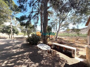 Finca/Casa Rural en venta en Pilar de Jaravia, Pulpí, Almería