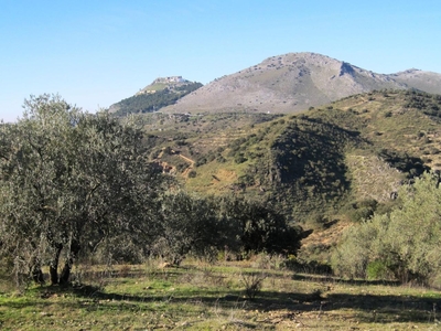 Terreno rústico en venta enpre. arroyo del ciervo, los molinillos y prado la zorra,archidona,málaga