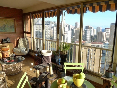 Venta Piso Benidorm. Piso de cuatro habitaciones 15