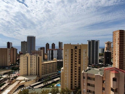 Venta Piso Benidorm. Piso de dos habitaciones 17 con terraza