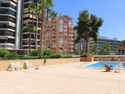 Venta Piso Benidorm. Piso de una habitación Buen estado cuarta planta con terraza