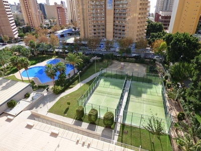 Venta Piso Benidorm. Piso de una habitación en Calle Lérida. Buen estado décima planta con terraza