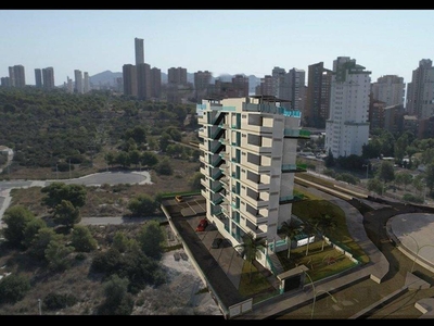 Venta Piso Benidorm. Piso de una habitación Novena planta con terraza