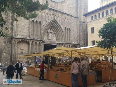 Alquiler de Atico en calle de Petritxol