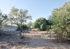 Casa con terreno en Sanlúcar de Barrameda