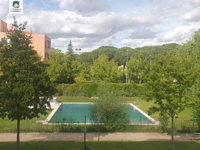 Alquiler de piso con piscina y terraza en Delicias - Canterac (Valladolid), Pinar de Jalón