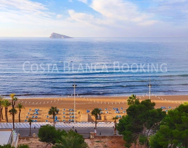 Apartamento en Benidorm