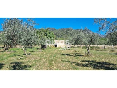 Finca rústica en venta en Sol Aires de Muntanya