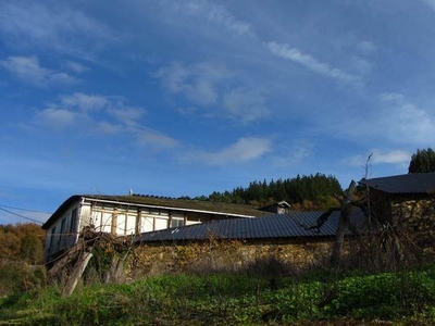 Finca/Casa Rural en venta en A Pobra de Brollón, Lugo