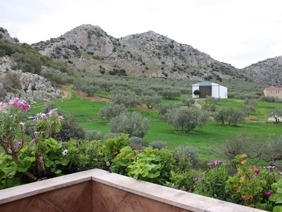 Finca/Casa Rural en venta en Cuevas del Becerro, Málaga