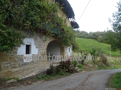 Finca/Casa Rural en venta en Larrabetzu, Vizcaya