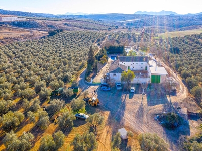 Finca/Casa Rural en venta en Loja, Granada