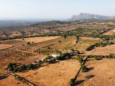 Finca/Casa Rural en venta en Manacor, Mallorca