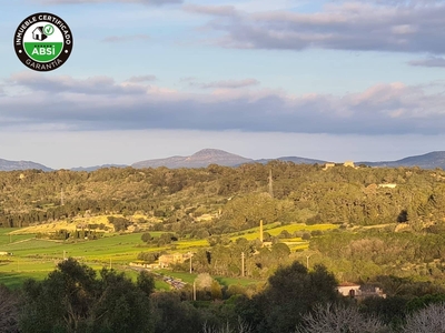 Finca/Casa Rural en venta en Sineu, Mallorca