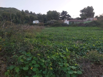 Terreno/Finca Rústica en venta en Los Castillos, Arucas, Gran Canaria