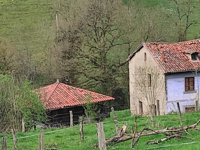 Casas de pueblo en Oviedo