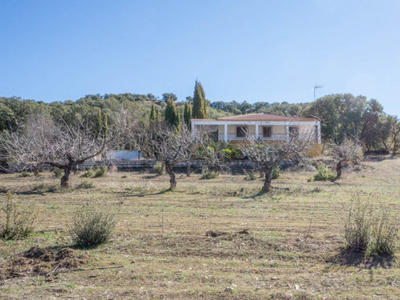 Chalet en Iznalloz