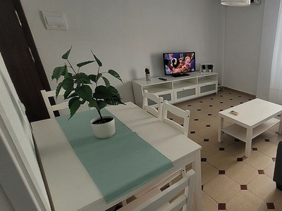Alquiler de piso en calle Mar Rojo de 2 habitaciones con muebles y aire acondicionado