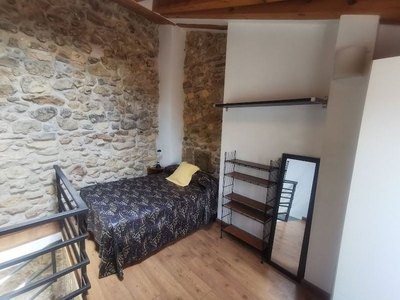 Dúplex en alquiler en Centro - Segovia de 1 habitación con muebles y calefacción