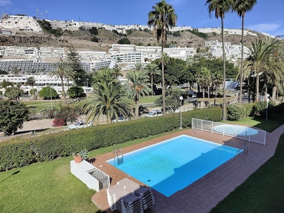 Piso en alquiler en avenida Lanzarote de 1 habitación con terraza y piscina