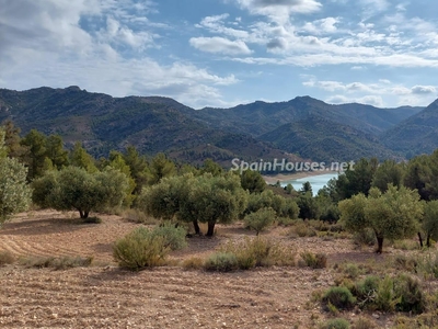 Finca en venta en La Ginebrosa