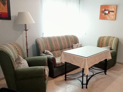 Alquiler de piso en calle Gran Capitan de 2 habitaciones con muebles y aire acondicionado