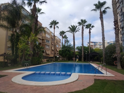 Alquiler de piso con piscina y terraza en Playa San Juan (Alicante)