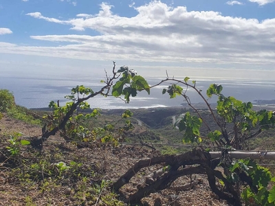 Finca/Casa Rural en venta en Fasnia, Tenerife