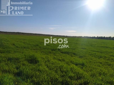 Finca rústica en venta en Ctra. Alavesa