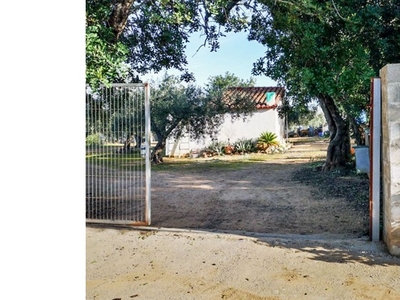 FINCA RUSTICA CON CASA EN AMPOSTA (TARRAGONA)