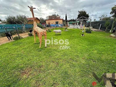 Finca rústica en venta en Calle Niña