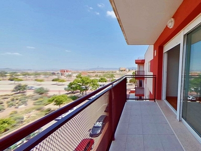 Piso en alquiler en Molina de Segura ciudad de 3 habitaciones con terraza y piscina