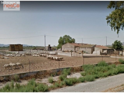 Casa con terreno en Lorca, camino Vera, Edificaciones 768 m2, Parcela 15.987 m2