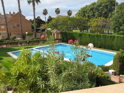 Alquiler de casa con piscina en Albufereta-Miriam Blasco (Alicante)