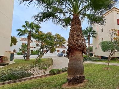 Ático en venta en Playa Flamenca, Orihuela, Alicante