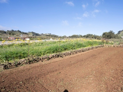 Venta Finca Rústica LLano del Moro Venta La Esperanza Llano del Moro