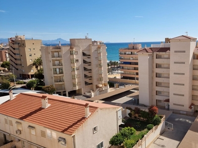 Alquiler vacaciones de piso con piscina y terraza en Los Arenales del Sol (Elche (Elx)), Arenales del Sol