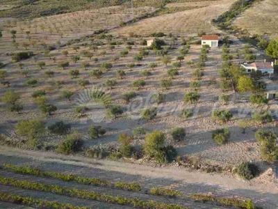 Casa de campo-Masía en Venta en Caudete Albacete