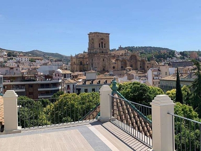 Piso en alquiler en Centro - Sagrario de 1 habitación con terraza y piscina