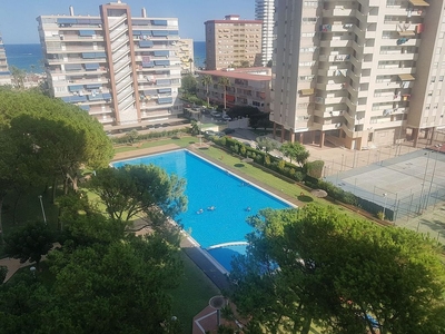 Piso en alquiler en Playa de San Juan de 2 habitaciones con terraza y piscina