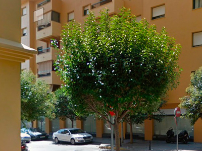 Local comercial en venta en calle Palencia, S/n, Marbella, Málaga