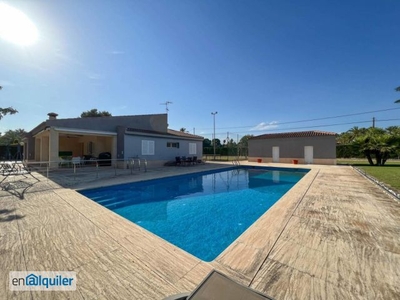 Alquiler casa piscina Torrellano