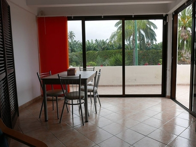Alquiler de piso en calle Manuel Yanez Barreto de 1 habitación con terraza y piscina