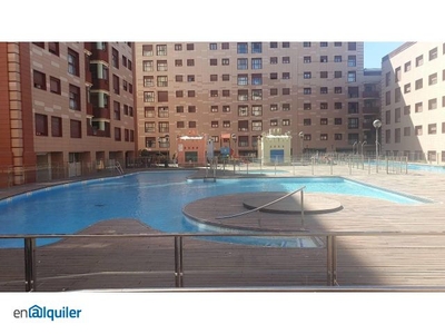 Alquiler piso piscina Bellavista - la palmera