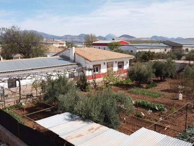 Fuente Vera casa de campo en venta