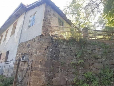 Venta Casa rústica en Camino Llana del Monte Mieres (Asturias). A reformar 78 m²