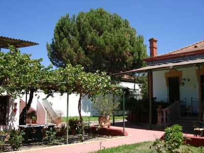 Venta Casa unifamiliar en Juan Gomez Torga Villanueva del Río y Minas. Con terraza 427 m²